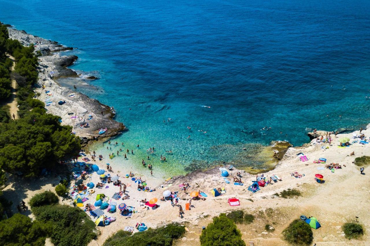 Lovely Istrian Apartment With A Private Swimming Pool And A Charming Garden بنجول المظهر الخارجي الصورة